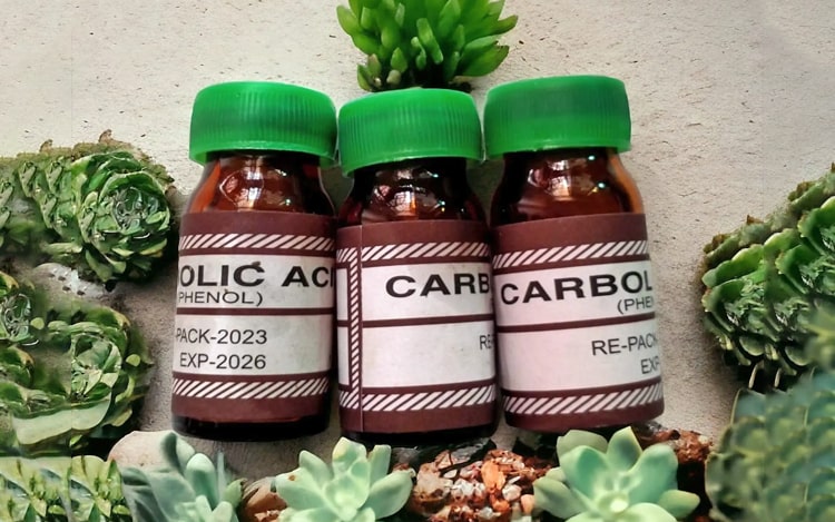 কার্বলিক অ্যাসিড কি সাপ তাড়াতে পারে? কার্বলিক অ্যাসিড